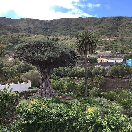 Appartement #Ocean View Studio #Wifi à Icod De Los Vinos Extérieur photo