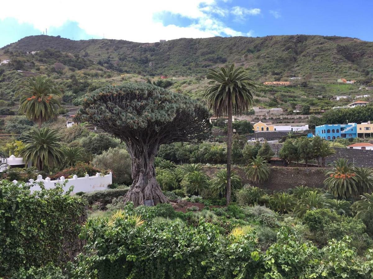 Appartement #Ocean View Studio #Wifi à Icod De Los Vinos Extérieur photo